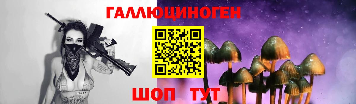 Псилоцибиновые грибы MAGIC MUSHROOMS Десногорск